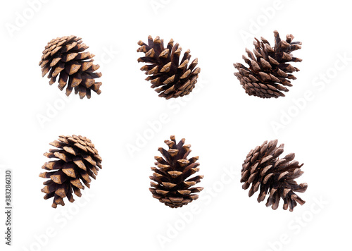 A collection of large pine cone for Christmas tree decoration isolated against a white background.