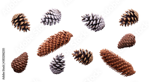 A collection of festive pine cone for Christmas tree decorations isolated against a white background.
