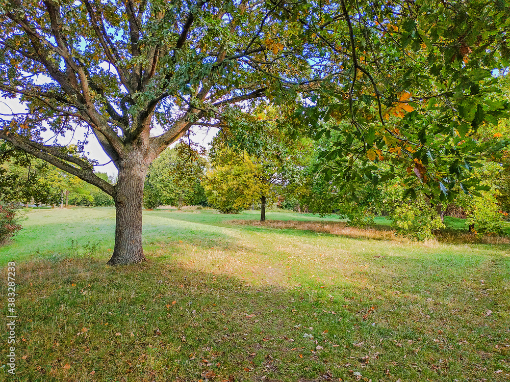 Naklejka premium Herbstwiesen