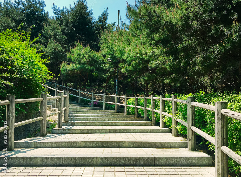 Stone staircase among pine trees. Changchungdan Park in downtown of Seoul during the spring season. Located on the northeastern foot of Namsan Mountain. Seoul
