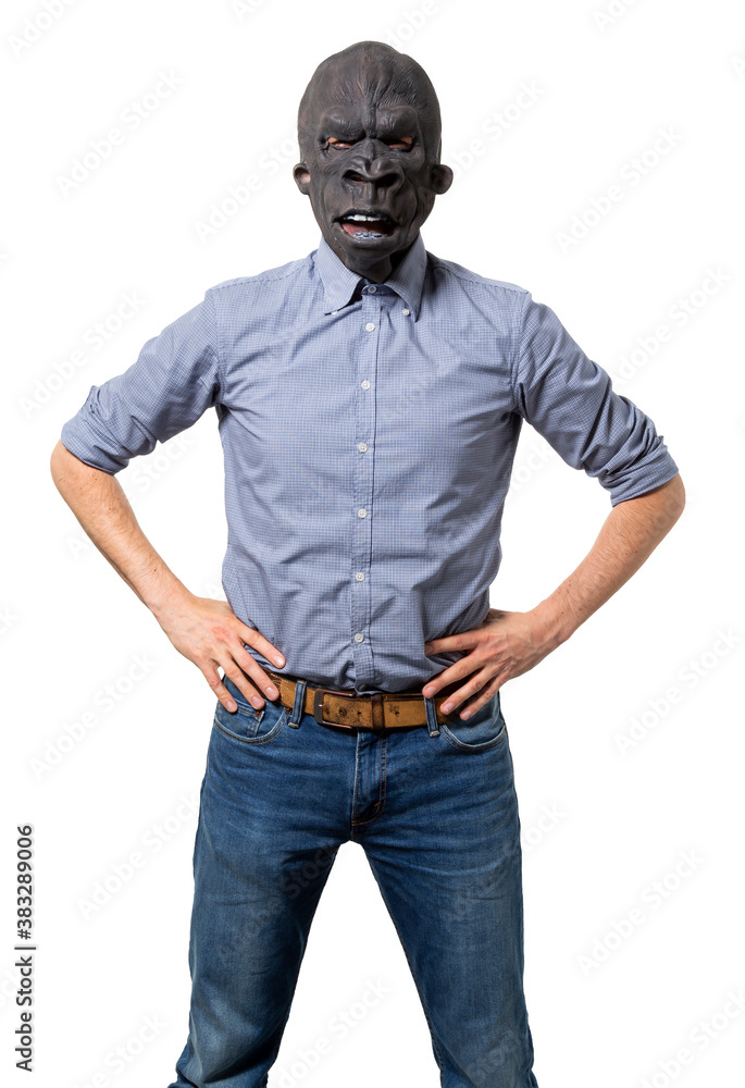 Man Wearing Gorilla Mask with Hands on Hips Isolated Cutout Man Wearing Gorilla Mask with Hands on Hips Isolated Cutout