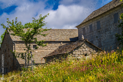 cevennes national park photo