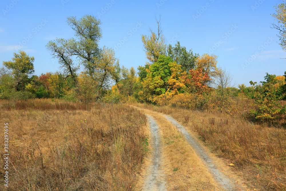 rut road in autumn forest rut road in autumn forest