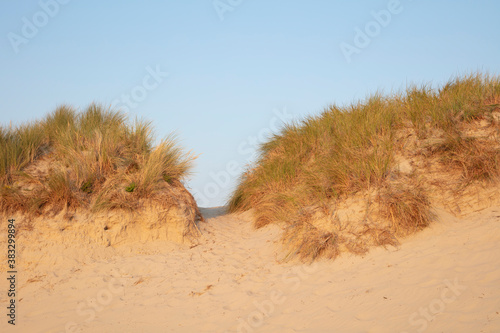 D  nenlandschaft im Nationalpark  UNESCO-Weltnaturerbe Wattenmeer  Borkum  Ostfriesische Insel  Niedersachsen  Deutschland  Europa