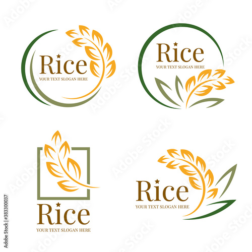 Rice logo organic grain wheat with yellow green paddy rice and leaves collection vector design