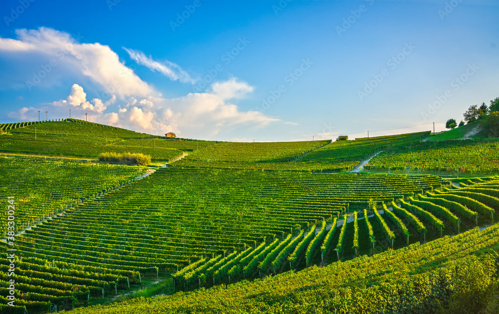 Langhe nebbiolo vineyards, Barolo, Piedmont, Italy.