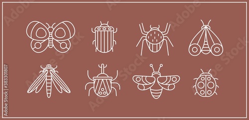 White Outline Bugs, Butterfly, Moth. Different insects. Minimalistic Icons. Chalkboard style. Simple geometric design. Trendy Vector illustrations. Every icon is isolated