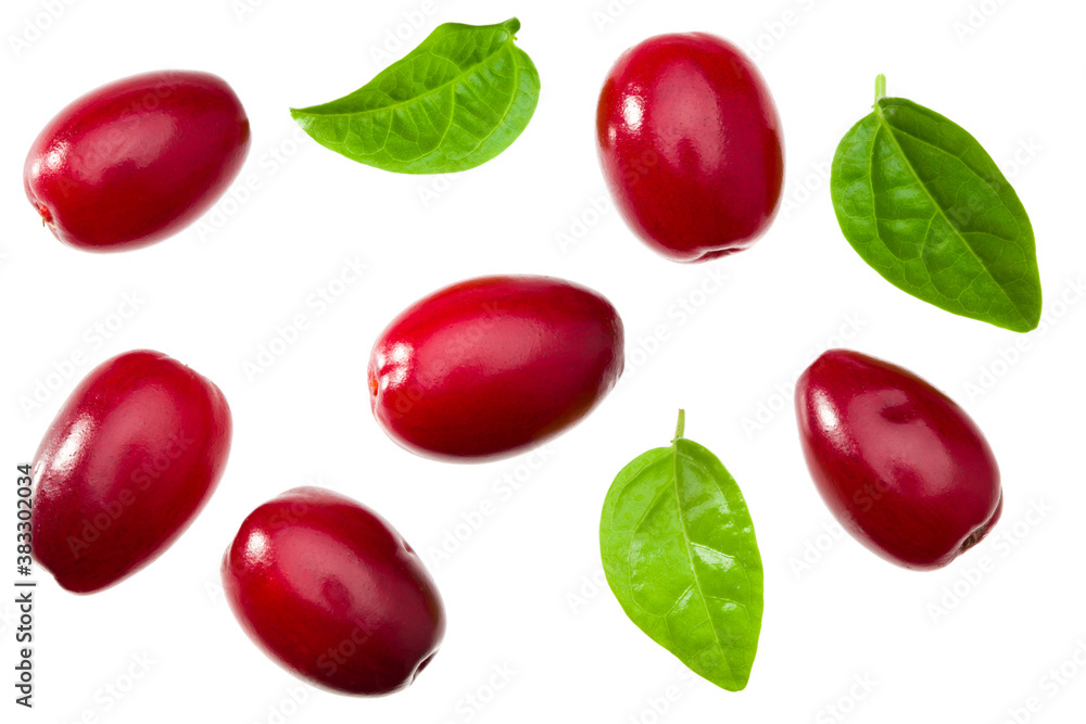 dogwood berries with green leaves isolated on white background. top view