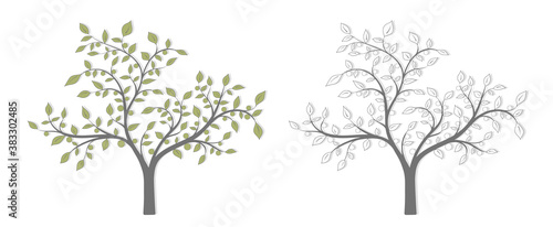 Tree with leaves and fruit in two versions on a white background