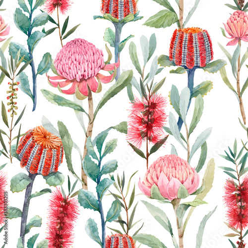 Beautiful vector seamless floral pattern with watercolor summer protea and australian banksia flowers. Stock illustration.