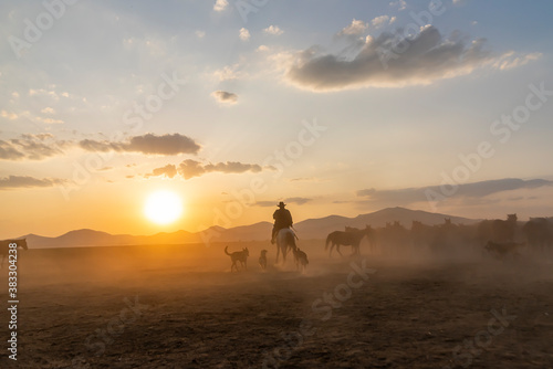 Wild horses run in foggy at sunset. Between Cappadocia and Kayseri, Turkey © attraction art