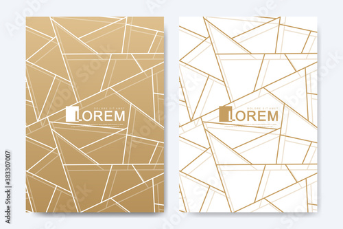 Modern vector template for brochure, leaflet, flyer, advert, cover, magazine or annual report in the A4 size. Golden company style for brandbook and guideline. Art deco style.