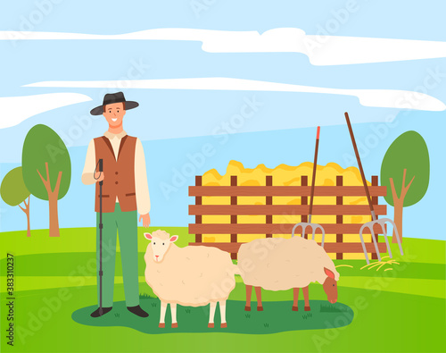 Male character of shepherd with sheep, flat vector illustration design. Young farmer man in hat standing with shepherd s stick near farm animal. Green meadow rural landscape with grass and hay