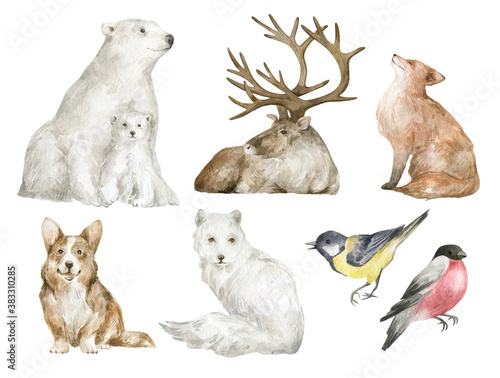 Watercolor set with winter animals. Polar bear, reindeer, red fox, corgi, arctic fox, tit and bullfinch in realistic style. Hand painted wildlife illustration isolated on white background.