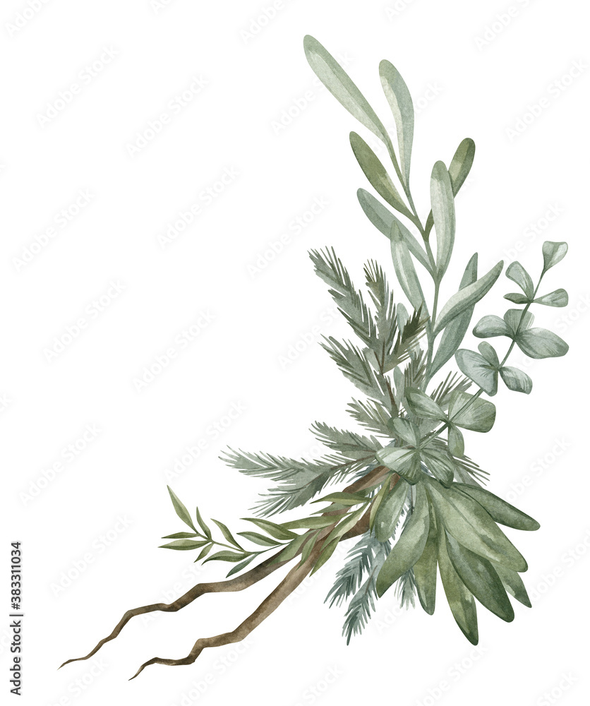 Watercolor composition with green winter leaves, branches, eucalyptus. Christmas bouquet isolated on white background. Aesthetic illustration for wedding, business card, promotions
