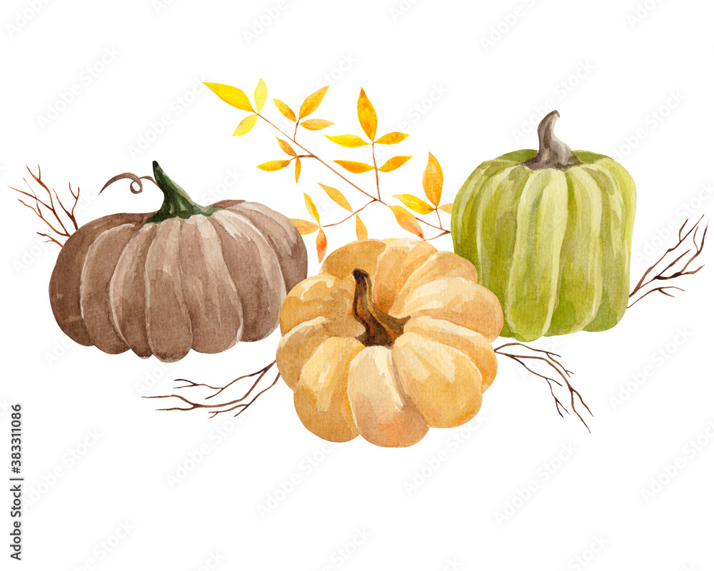 watercolor pumpkin and leaves bouquet isolated on white