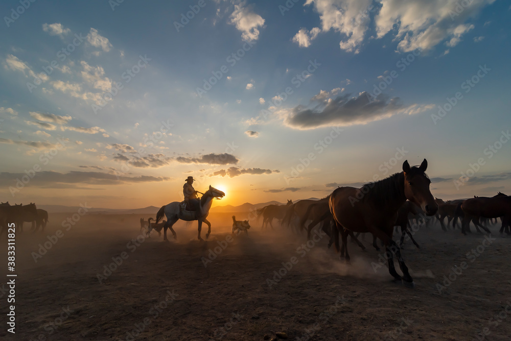 Wild horses run in foggy at sunset. Between Cappadocia and Kayseri, Turkey Wild horses run in foggy at sunset. Between Cappadocia and Kayseri, Turkey