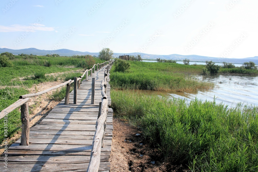 wooden hiking trail, Lake Vrana, near Zadar, Croatia