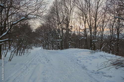 Walking on snowy forest path, POV footage