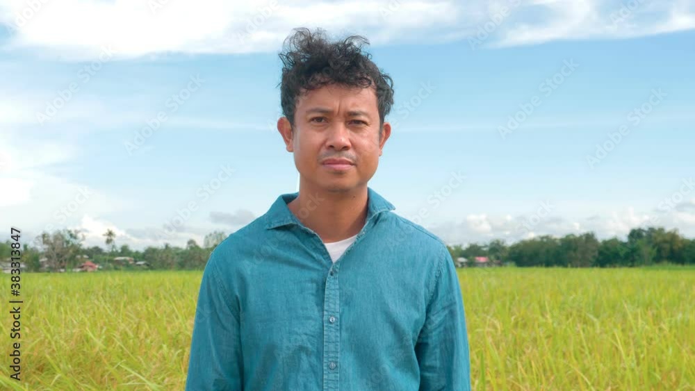 Front view of male farmer standing in paddy field, portrait of man farm worker in rice farming. Front view of male farmer standing in paddy field, portrait of man farm worker in rice farming.