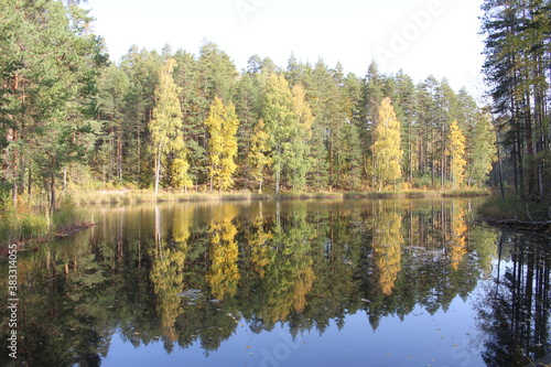 Topeliuksenpolku  Punkaharju  Finland