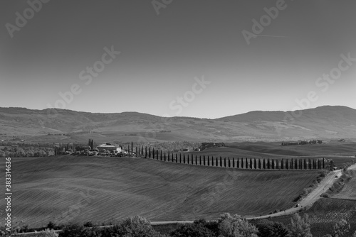 Amazing Tuscan Landscape, soft hills and cypress trees, unique view in B&W