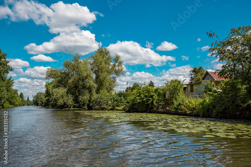 Traumhafte Natur an einem Kanal in Hamburg-Wilhelmsburg