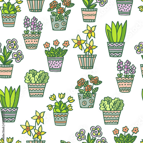 Seamless pattern with hand-drawn multicolored potted flowers on a white background