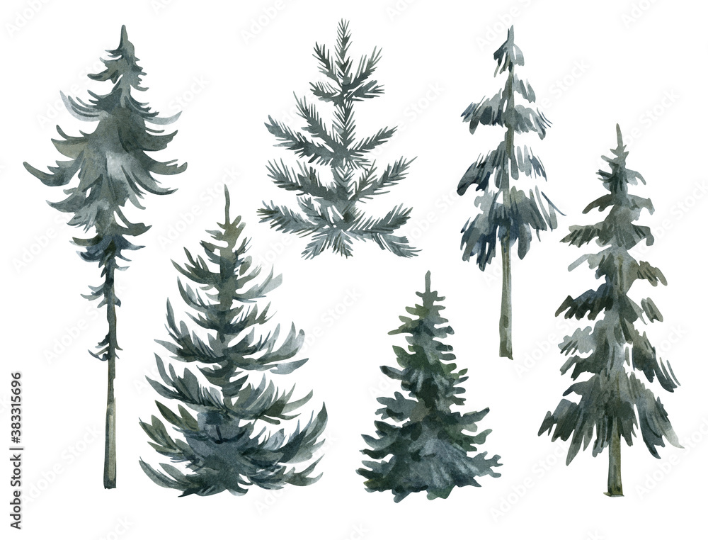 Watercolor set with evergreen trees. Winter forest landscape elements. Isolated spruce, oaks, pines, fir trees. Coniferous green forest, christmas tree