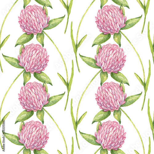 Meadow herbs seamless pattern with watercolor clover flowers and leaves on the white background.pink clover isolated on the white background. Cute wreath with shamrock. Illustration of meadow flowers