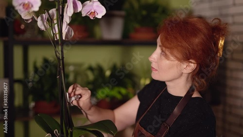Smiling caucasian florist woman hold pot with orchid in flower shop, happy young female taking care of flower looking at it. Florist and gardening concept. 4K footage.
