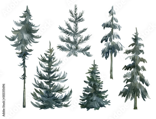 Watercolor set with evergreen trees. Winter forest landscape elements. Isolated spruce  oaks  pines  fir trees. Coniferous green forest  christmas tree