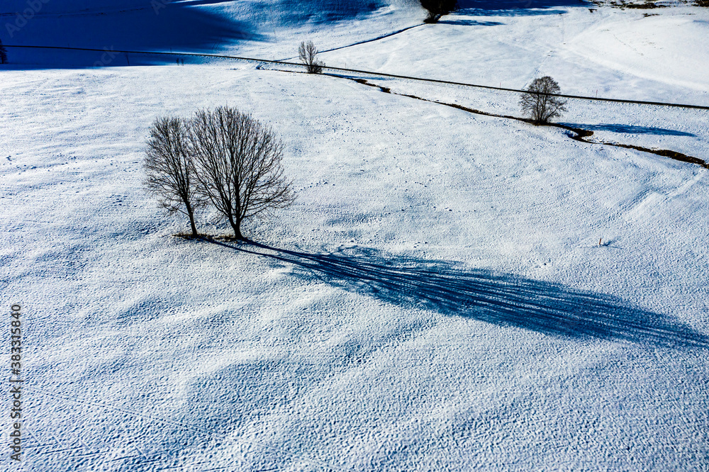 Aerial view, tree in the sunlight on snow-covered meadow in the Leukental, Kössen, Kaiserwinkel, Kitzbuehel district, Chiemgau, Tyrol, Austria Aerial view, tree in the sunlight on snow-covered meadow in the Leukental, Kössen, Kaiserwinkel, Kitzbuehel district, Chiemgau, Tyrol, Austria