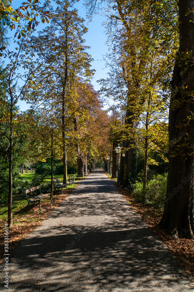 Eine Allee im Stadtpark im Herbst