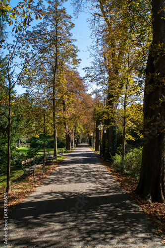 Eine Allee im Stadtpark im Herbst