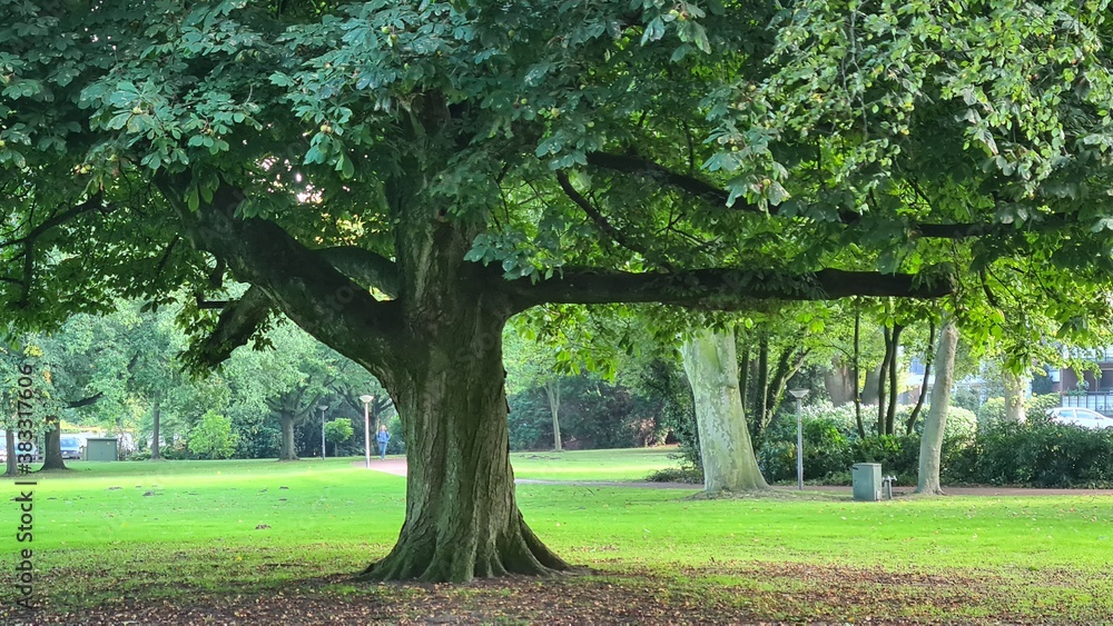 kurpark bad zwischenahn