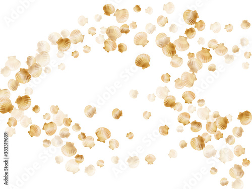 Gold chic seashells vector illustration, marine mollusks shells