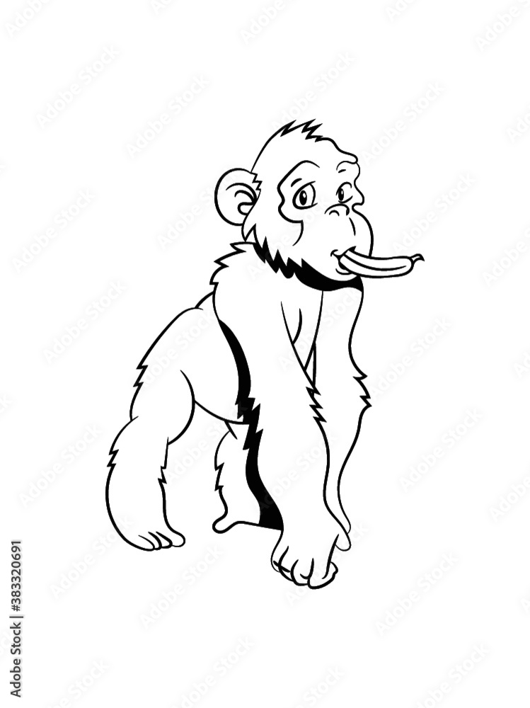 Fototapeta premium affe hat banane 