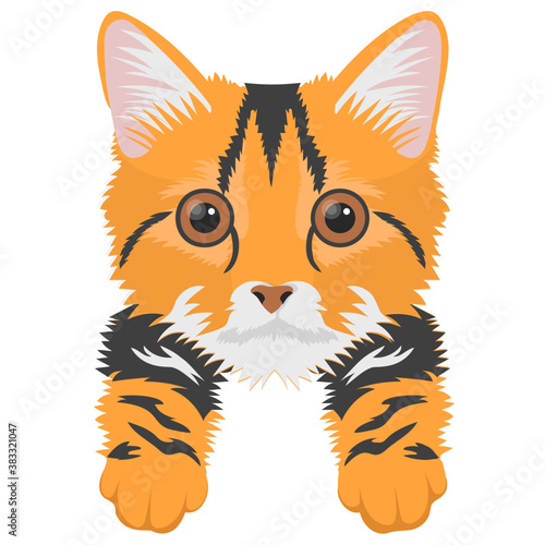 
A toyger cat lives in forest 
