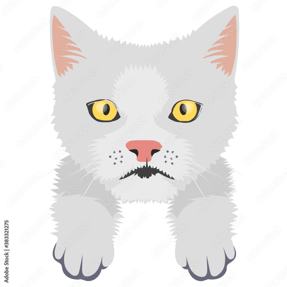 A cute cross cat with amazed emotion
A cute cross cat with amazed emotion