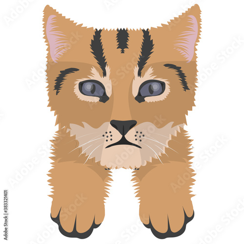 
A toyger cat lives in forest 
