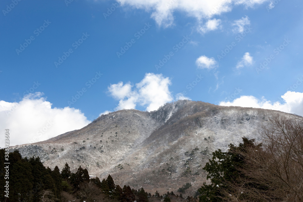 Fototapeta premium 箱根の山