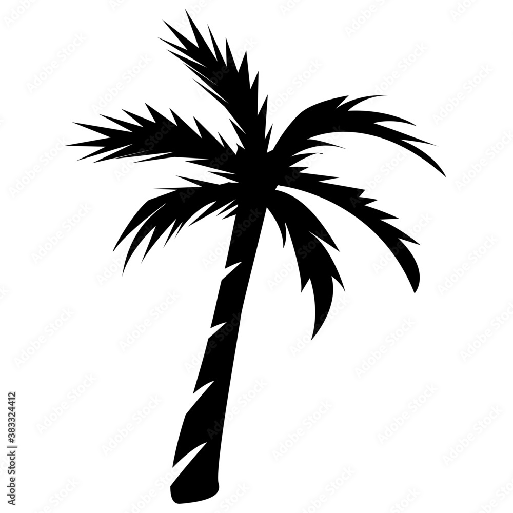 Obraz premium Long trunk palm tree 