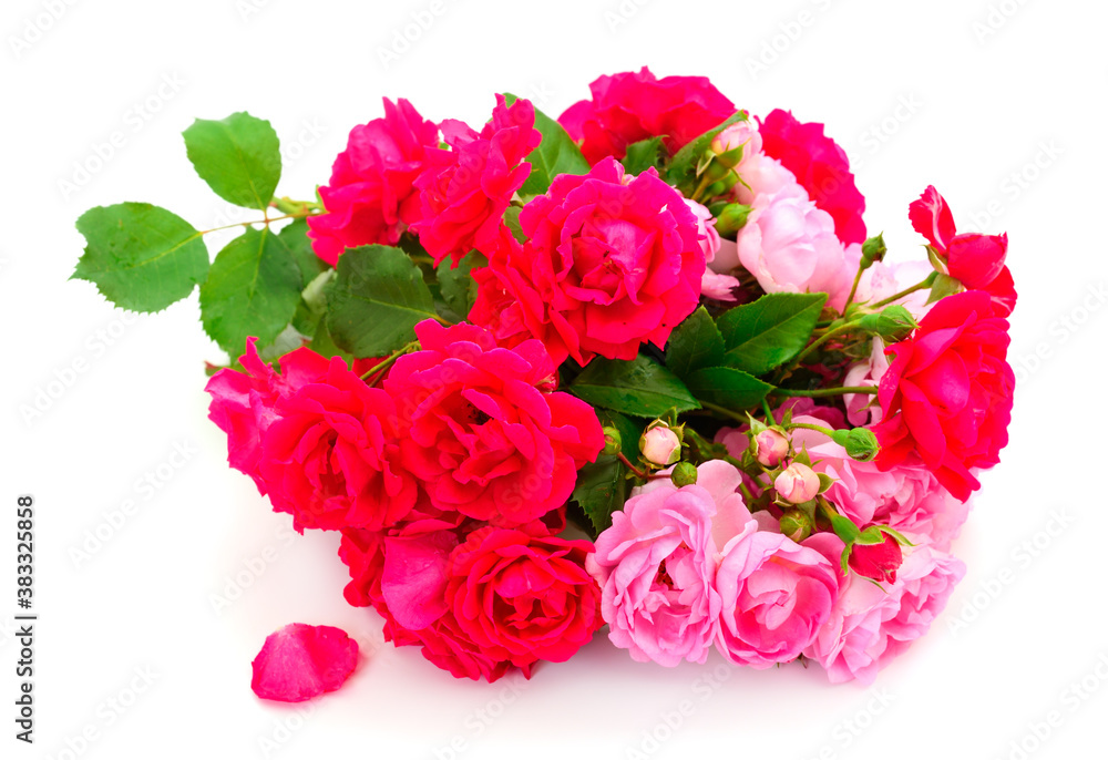 Bouquet of red and pink roses.