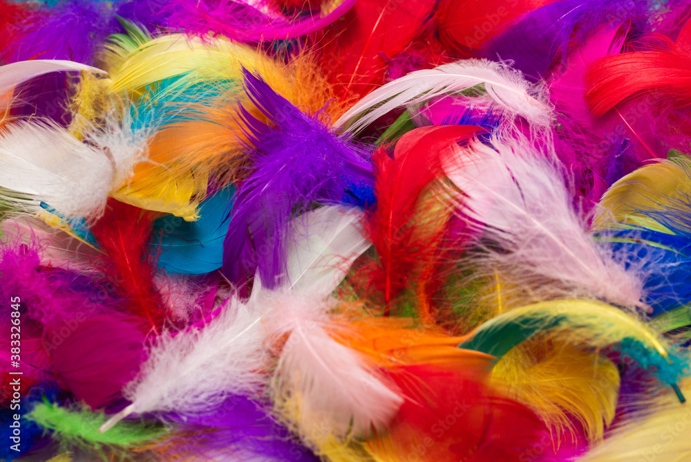 Colorful feather background.