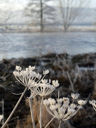 Winter an der Ruhr bei Geisecke photo