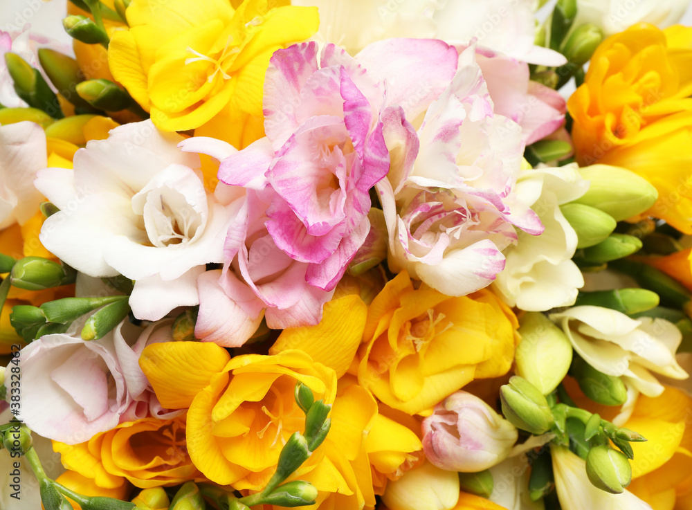Fototapeta premium Beautiful colorful freesia bouquet as background, closeup