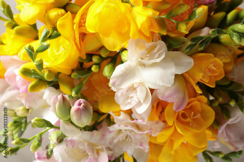 Beautiful colorful freesia bouquet as background  closeup