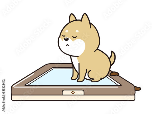 柴犬の子犬がトイレから外してうんちをしているイラスト