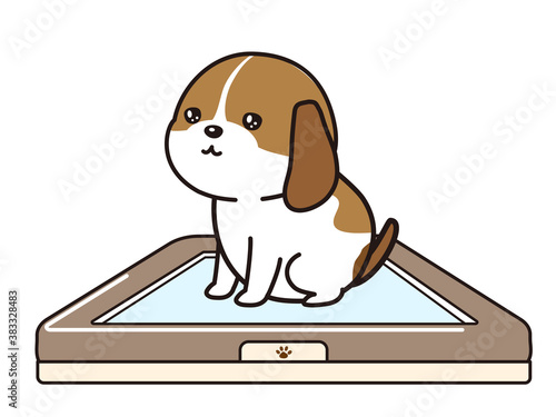 トイレで排泄する子犬